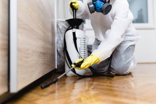 Best Local Pest Control Services  in Siloam Springs, AR