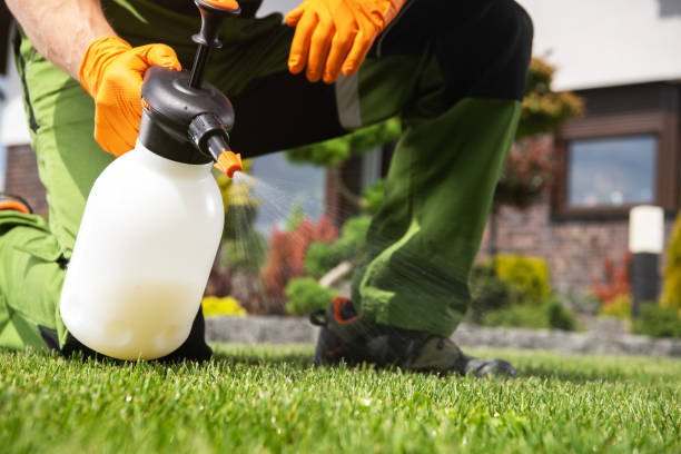 Best Emergency Pest Control  in Siloam Springs, AR