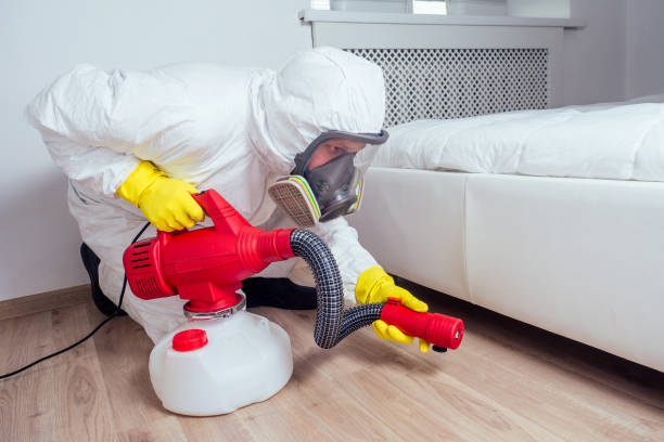 Best Pest Prevention Services  in Siloam Springs, AR